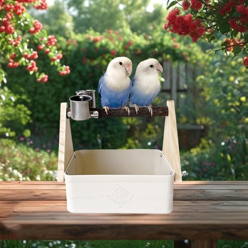 Perchoir pour oiseaux avec double mangeoire pour perruche et calopsitte - 3