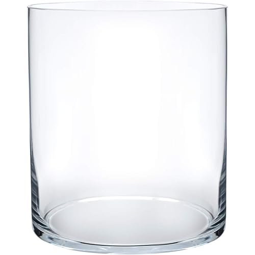 Royal Imports Flower Glass Vase Decorative Centerpiece for Home or Wedding - Cylinder Shape, 8" Tall, 6" Opening, Clear