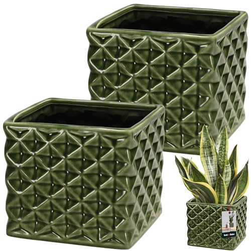 KOTARBAU® 2er Set Blumentopf Keramik glasiert Quadratisch Grün 14 x 14 cm H 13 cm Übertöpfe für Zimmerpflanzen Orchideen & Sukkulenten Topf Pflanzen Töpfe Blumen Übertopf Blumentopf viereckig