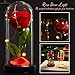 DECO EXPRESS Rosa Bella y Bestia Con Luces Led Suaves, Cupula de...