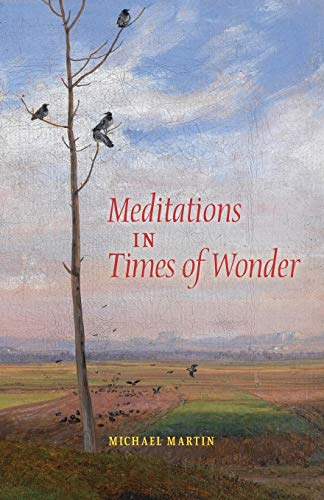 Meditations in Times of Wonder Paperback – Illustrated, August 6, 2014