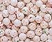 Bruiser 1/2 Inch Jawbreakers 1LB Bag