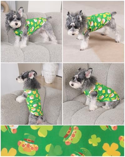 Vêtements Saint-Patrick pour chien parfaits pour le défilé CuteBone