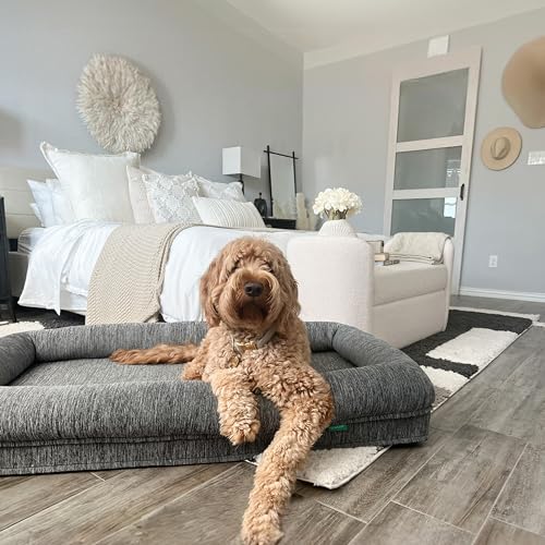 Newton Orthopedic Pet Bed - Washable Bed for Large Dogs, Puppy Bed, Crate Bed, with Removable & Breathable Dog Bed Cover, Comfy & Durable, Dog Essentials, Large