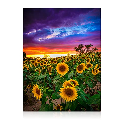 Peinture diamant 5D à faire soi-même grand paysage et kit d'art diamant tournesol adultes