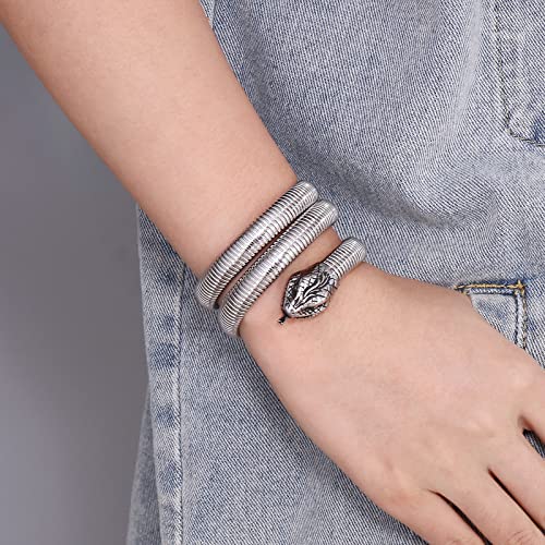 Klapgo Stainless Steel Two Headed Snake Charm Cuff Bangle For Men And Women, Gothic Style Animal Retro Bracelet Jewelry #TOP5