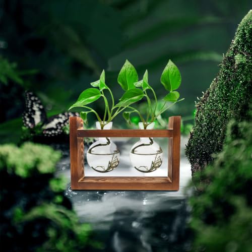Maceta creativa de vidrio y madera para decorar salones modernos y mesas de hogar 5