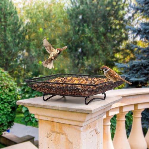 Mixxidea Ground Bird Feeder Tray 11X11 Inches, Metal Platform Mesh Seed Tray For Bird Feeders, Great Attracting Garden Yard Decoration For Wild Birds Squirrels Dove,1 Pack thumb #6