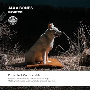 Jax & Bones Everest Dog Bed Cozy Mat - Washable Outdoor Dog Mat - Small Flat Pad Fits Standard Size Crate & Kennel - Silver Jax & Bones Everest Dog Bed Cozy Mat – Washable Outdoor Dog Mat – Small Flat Pad Fits Standard Size Crate & Kennel – Silver