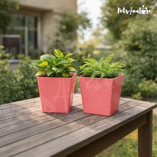 Image of POTS4NATURE Square Pots for Plants | Lightweight Plastic Flower Pot for Indoor & Outdoor Home /Office /Table /Garden /Balcony Decoration | Terracotta Color | 6 Inches (Pack of 2)