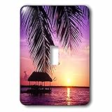 3dRose lsp_89161_1 John Pennekamp State Park, Key West, Florida Us10 Gjo0522 Greg Johnston Single Toggle Switch