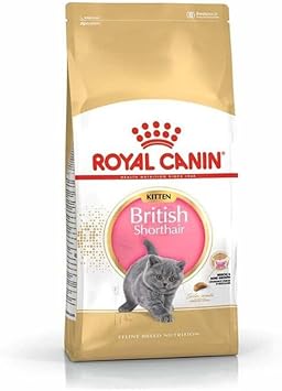 Royal Canin Kitten Food - British Shorthair Complete Food 2Kg