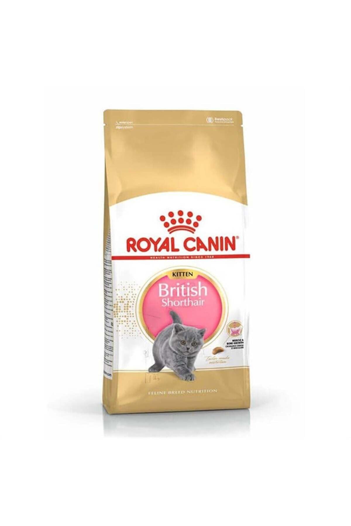 Royal Canin Kitten Food - British Shorthair Complete Food 2Kg product thumbnail 2