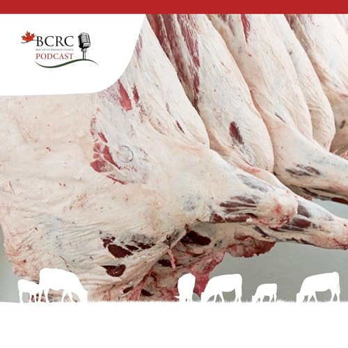 Episode 99: Can Grading Cameras Predict More than Overall Carcass Yield?