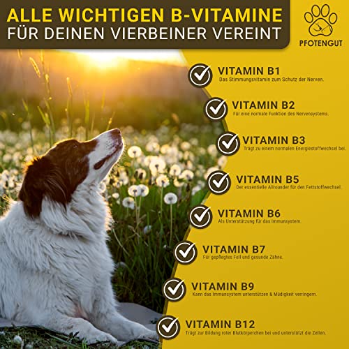 PFOTENGUT® Vitamin B Komplex Hund [Made in Germany] - 140 Tabletten für 5 Monate - Hochdosierte B Vitamine für Hunde & Katzen mit B1, B2, B3, B5, B6, B7, B9 & B12 - Vitamin B für Hunde