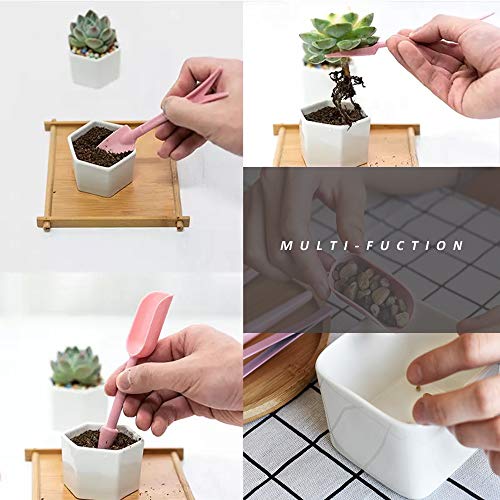 Melphoe Puppy’s Mom 12 Pieces Mini Garden Hand Transplanting Succulent Tools Miniature Planting, Set for Indoor Fairy Care, Potting, Cactus, Houseplant, Bonsai Tools, Bonsai Kit (Pink)