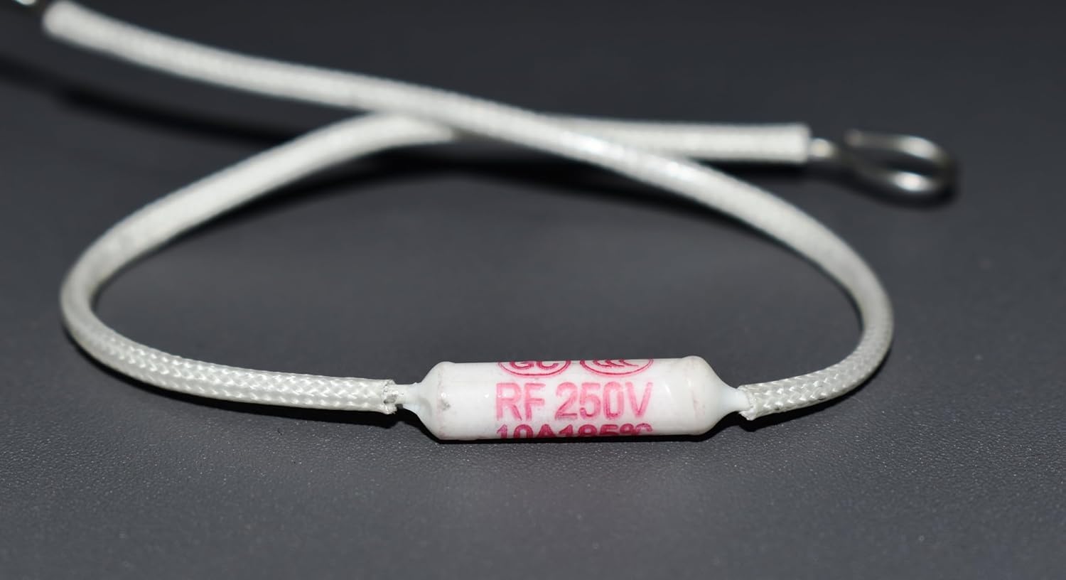 (2pcs) Fuse for Electric Rice Cooker Repairing Part 10A 250V 185°C Thermal Fuse (Match & Buy)-image-42