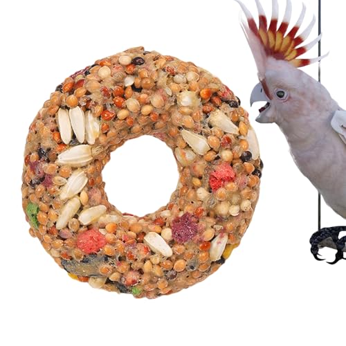 CRt[h - CR̂ - h[ic^̍ TV g[jO ArG[Gb`g yV  P[WANZT[