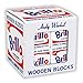 Andy Warhol Brillo Wooden Blocks