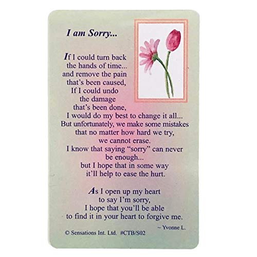 I am Sorry ..Wallet Card (Sentimental Keepsake Wallet/Purse Card)