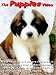 The Puppies Video