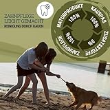 Nosli Natural Toys Snacky Tube für Hunde • Wobbler Snackball Hund • Hundespielzeug Intelligenz • Ohne Farbstoffe • 100% Naturkautschuk • Futterspielzeug & Intelligenzspielzeug
