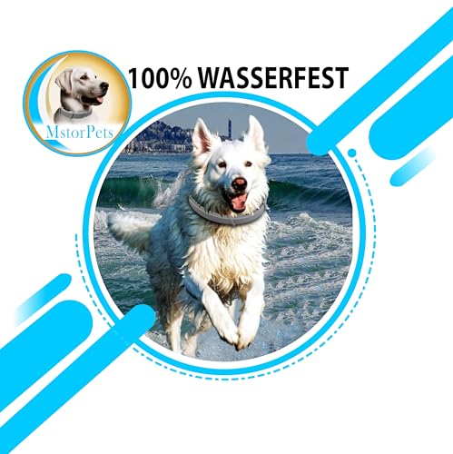 MstorPets | 100% Natürliches Flohhalsband ohne Chemie | Zeckenhalsband klein, & groß | Wasserdicht Größenverstellbar bis 8 Monate Zeckenschutz für Hunde | Anti Floh Hunde Katze [Grau]