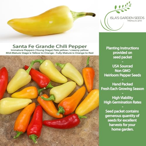 Santa Fe Grande Pepper Seeds for Planting (Capsicum annuum) – 50+ Non-GMO Heirloom Seeds by Isla’s Garden Seeds, Mild-to-Medium Chili Variety, Flavorful Fruits, Ideal for Pickling, Salsas & Fresh Use - Image 2