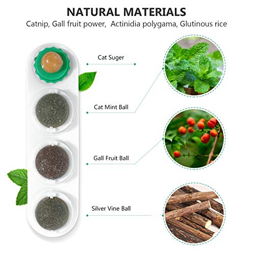 TEHAUX Bola de parede de erva de gato, bolas comestíveis para lamber a erva do gato, petiscos natura