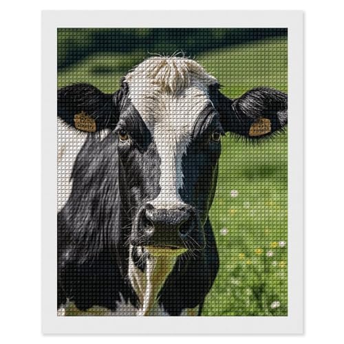 Kit peinture diamant 5D maccbn art diamant carré complet broderie mosaïque adulte murale