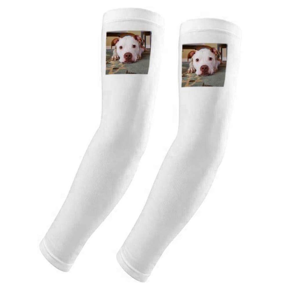 Funda para brazo con diseño de bulldog blanco DIYthinker 5