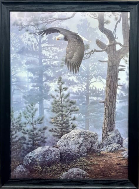 Amazon.com: Daniel Smith Shrouded Forest FRAMED ART Wildlife Eagle