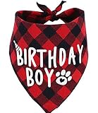 Birthday Boy Dog Bandana