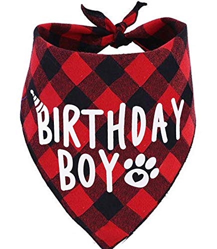 Birthday Boy Dog Bandana #TOP20