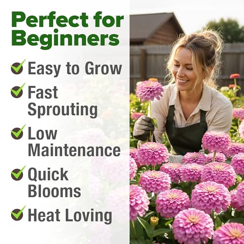 Image of HOME GROWN Pink Zinnia Seeds - 600 Luminosa Zinnias 0.5g, Easy to Grow Annual Flower Seeds for Planting Outdoors for 2026, Fast Blooming, Heat Tolerant Herb Seed Garden Companion (Zinnia elegans)