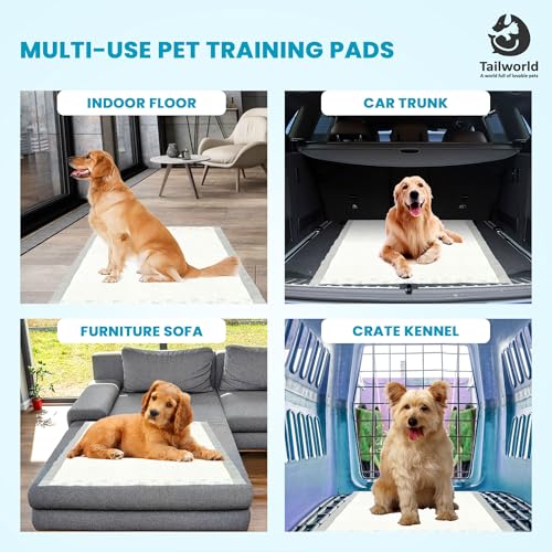 Image of Training Pads, with Odor Lock Technology & Super Absorbent Pee Pads, Leak-Proof Dog Potty Training Pads for Puppies, Dogs,Cats & Rabbits (60 X 60 cm) Pack of 3(30 Pcs Each)