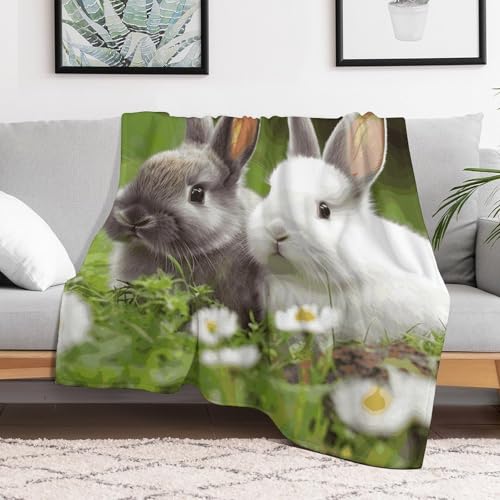 Couverture de luxe en microfibre motif lapins pour lit douillet