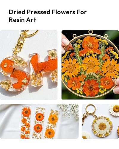 Image of Dried Flowers, Resiners 100Pcs Fall Pressed Flowers for Craft Real Natural Dried Flowers Dry Leaves Kit for DIY Making Crafts Resin Soap Candle Scrapbook Supplies Card Making Jewelry