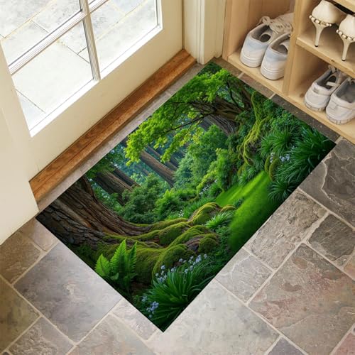 Tapis de porte entrée vert sauge pour maison et extérieur - 2