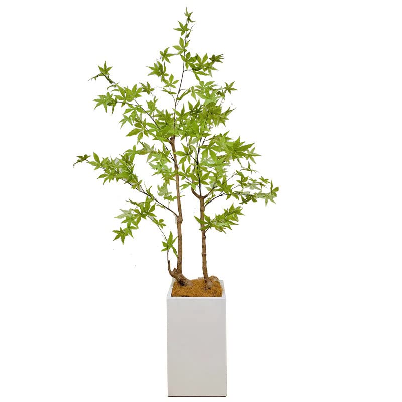 Amazon｜モミジ 紅葉 特大 180cm 人工観葉植物 フェイクグリーン 観葉