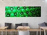  OEDIM Cadre Toile Tableau Les Bouteilles 200 x 60 cm  Impression sur Canevas  décoration de Mur résistant et économique