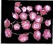Produktbild Dorime 20 Led Batteriebetrieb Rose Lichterketten Hochzeit Garten-Party Weihnachtsdekoration Lichterketten