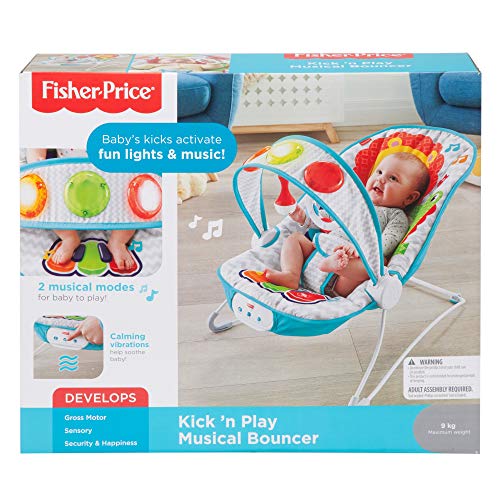 fisher price musical bouncer chair