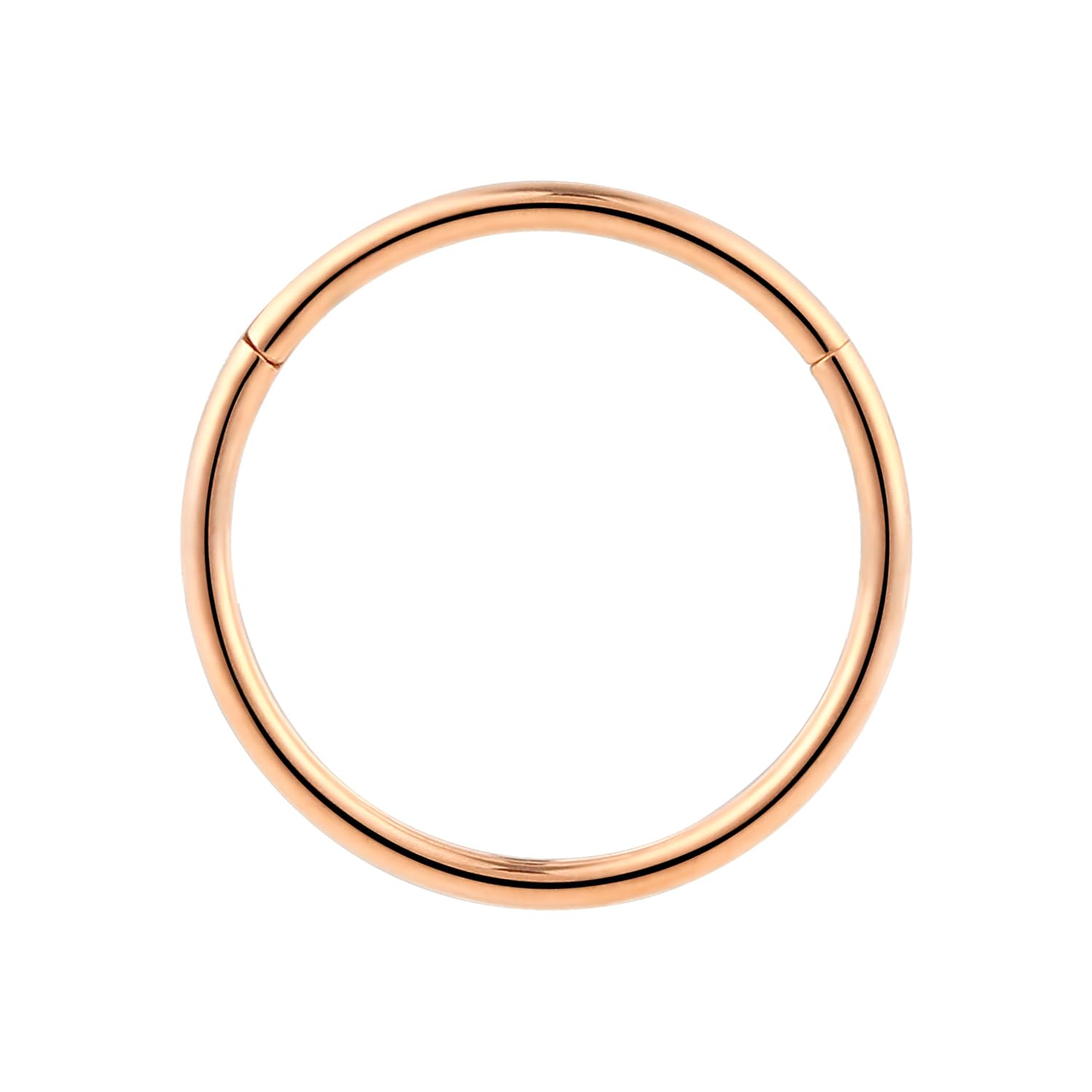 365 SLEEPERS 1pc Titanium Implant Grade Nose Rings 20G 18G 16G 14G 12G 10G 8G 6G Septum Hinged Segment Ring Body Piercing Jewellery Hoop Lip Rings Helix Cartilage Rook Earrings Nickel Free — view 3