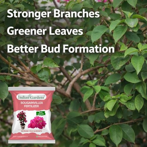 Image of Indian Gardens - Bougainvillea Fertilizer for Plant | Bloom Booster for Vibrant Flowers | Slow Release Organic Nutrient | For Terrace & Outdoor Plants - 9800 Grams