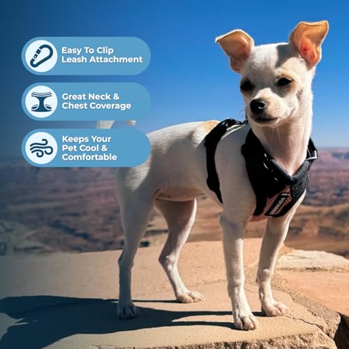 Image of Best Pet Supplies Voyager Step-in Lock Pet Harness w Reflective Pet Leash Combo Set with Neoprene Handle 5ft - Supports Small, Medium and Large Breed Puppies /Cats - Pink /Black Trim, L