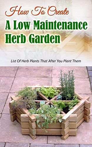 How To Create A Low Maintenance Herb Garden: List Of Herb Plants That After You Plant Them