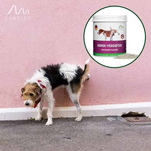 Gardigo Hundeschreck Granulat - Hunde-Verdufter - 3er Set | 900g | Mit Geraniol I Made in Germany I Hundeabwehr für Haus, Garten, Garage und Grundstück | Hundevertreiber für draußen