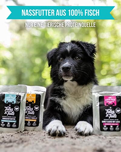 Tales & Tails Schleckertubenpaket Fisch Mix | Futtertube Für Hunde zum Befüllen | 6X 100g Nassfutter | Ideales Hundetraining | Wiederverwendbare Tube
