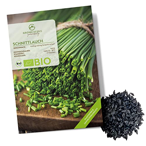 BIO Graines de ciboulette - Graines d'herbes aromatiques pour faire pousser de culture biologique idéal pour le jardin aromatique